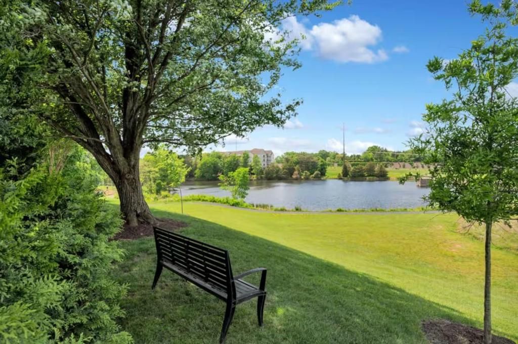 A park with a bench, a large tree, and a lake.