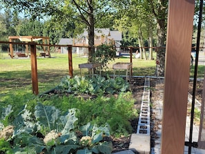 A garden with raised beds, a wooden pergola, and a paved pathway.