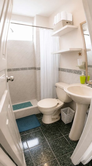 Et lille badeværelse med bruser, toilet og håndvask.