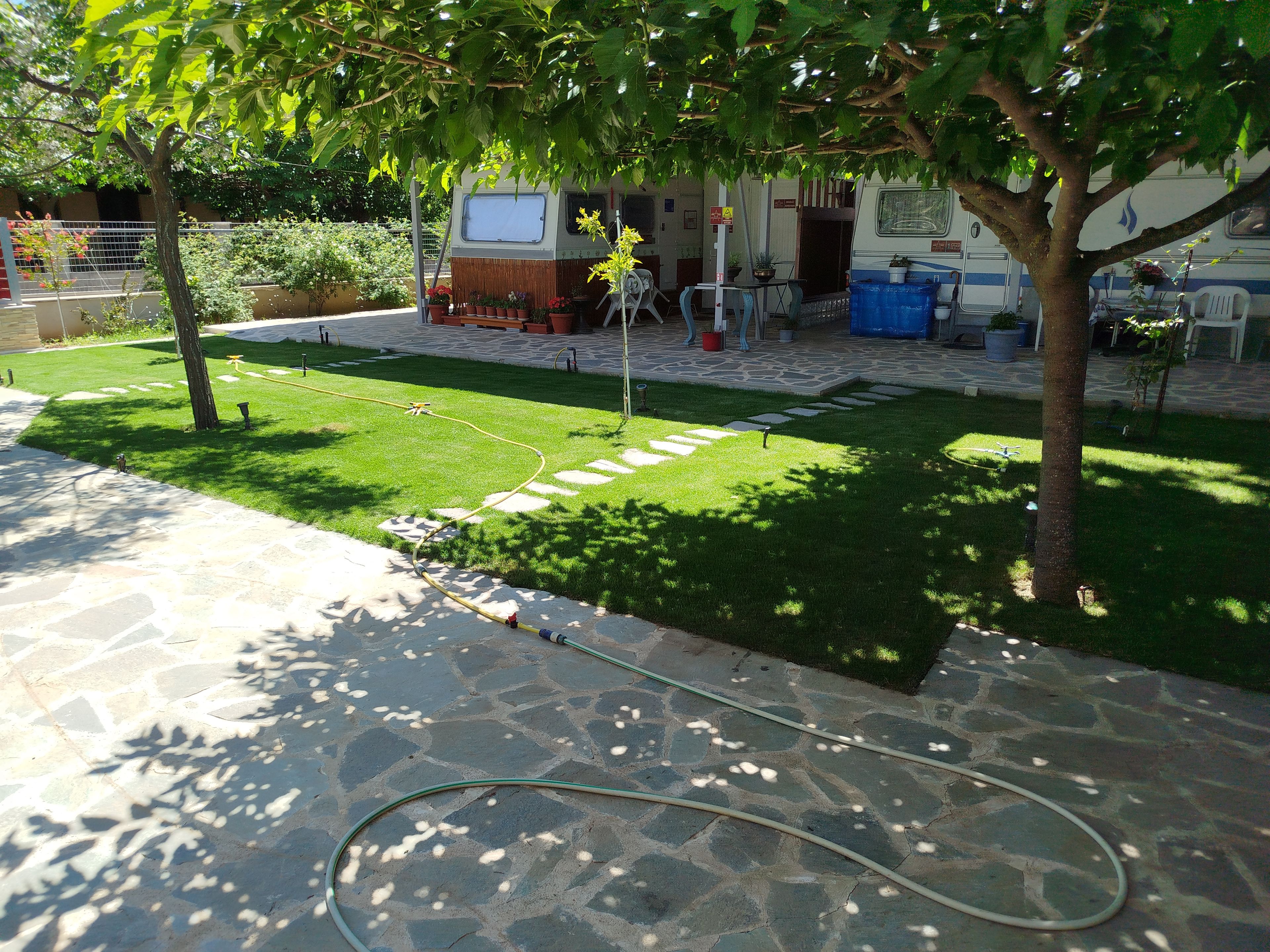 Ein gepflegter Garten mit Rasen, einem Kiesweg und einem Schlauch am Boden.
