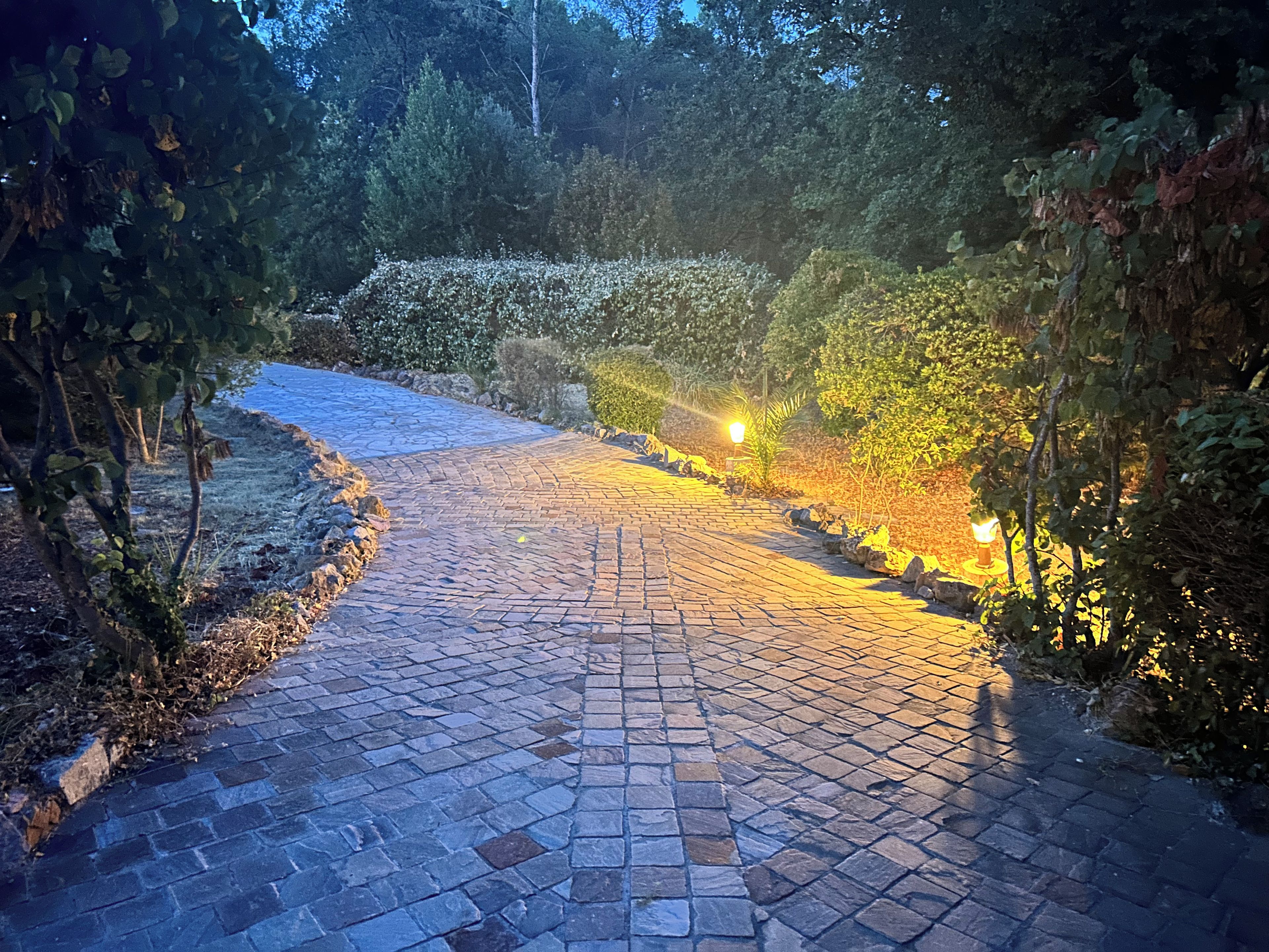 Een geplaveid pad in een tuin, met stenen tegels en omringd door groen.