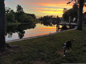 A dog walking along a grassy path beside a calm body of water with trees and a dock in the background.