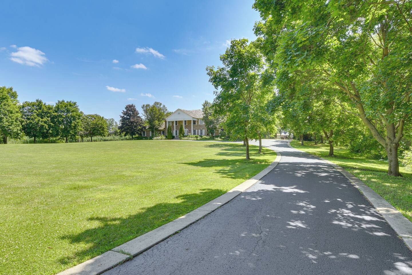 A residential street with a paved driveway, a grassy lawn, and a row of trees.