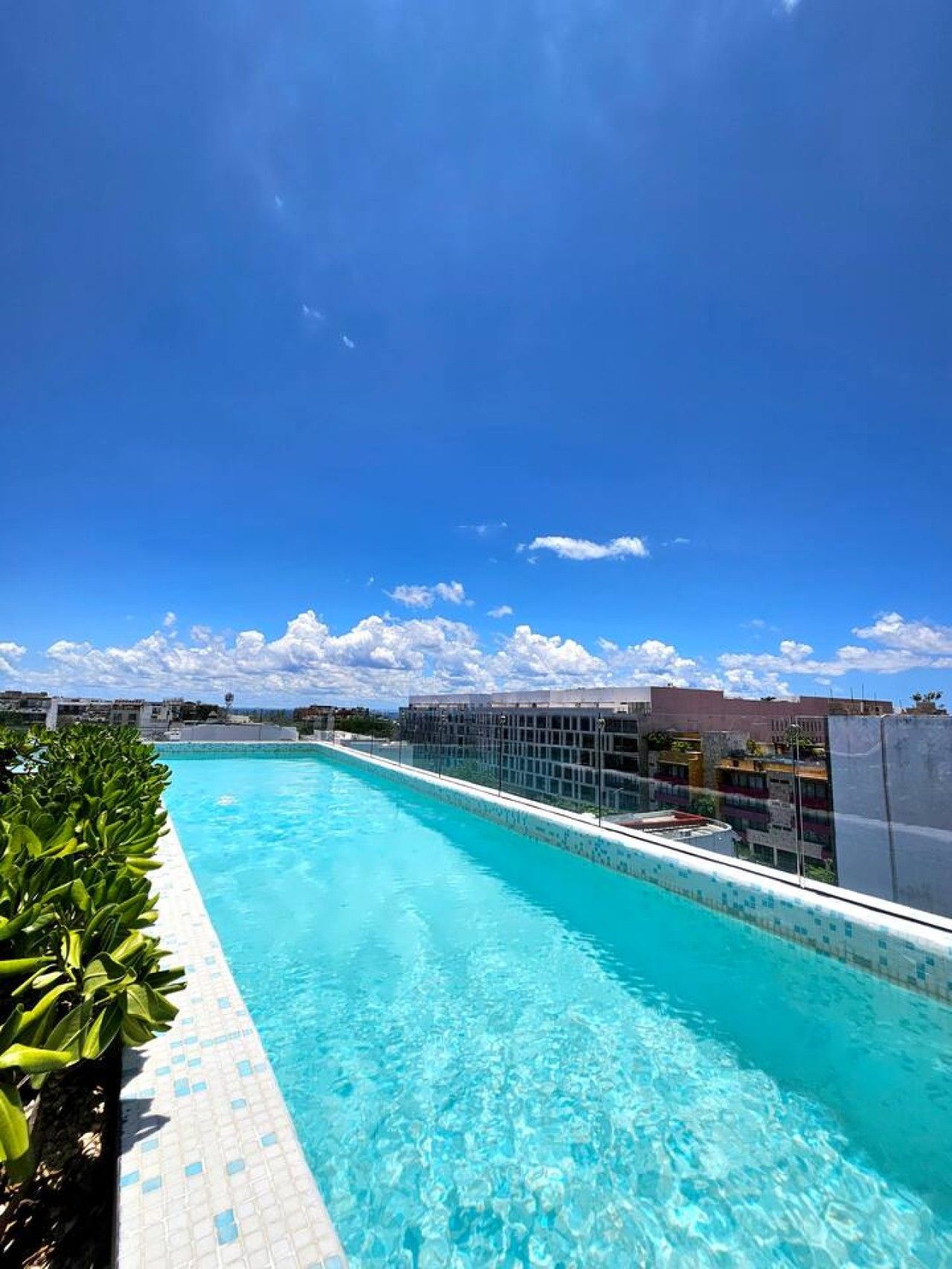 A clear blue swimming pool with a tiled edge, surrounded by greenery and buildings in the background.
