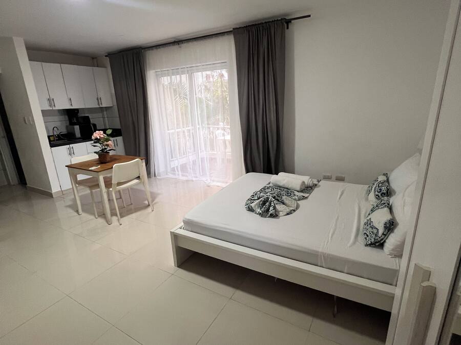 Un dormitorio con cama, escritorio y kitchenette.
