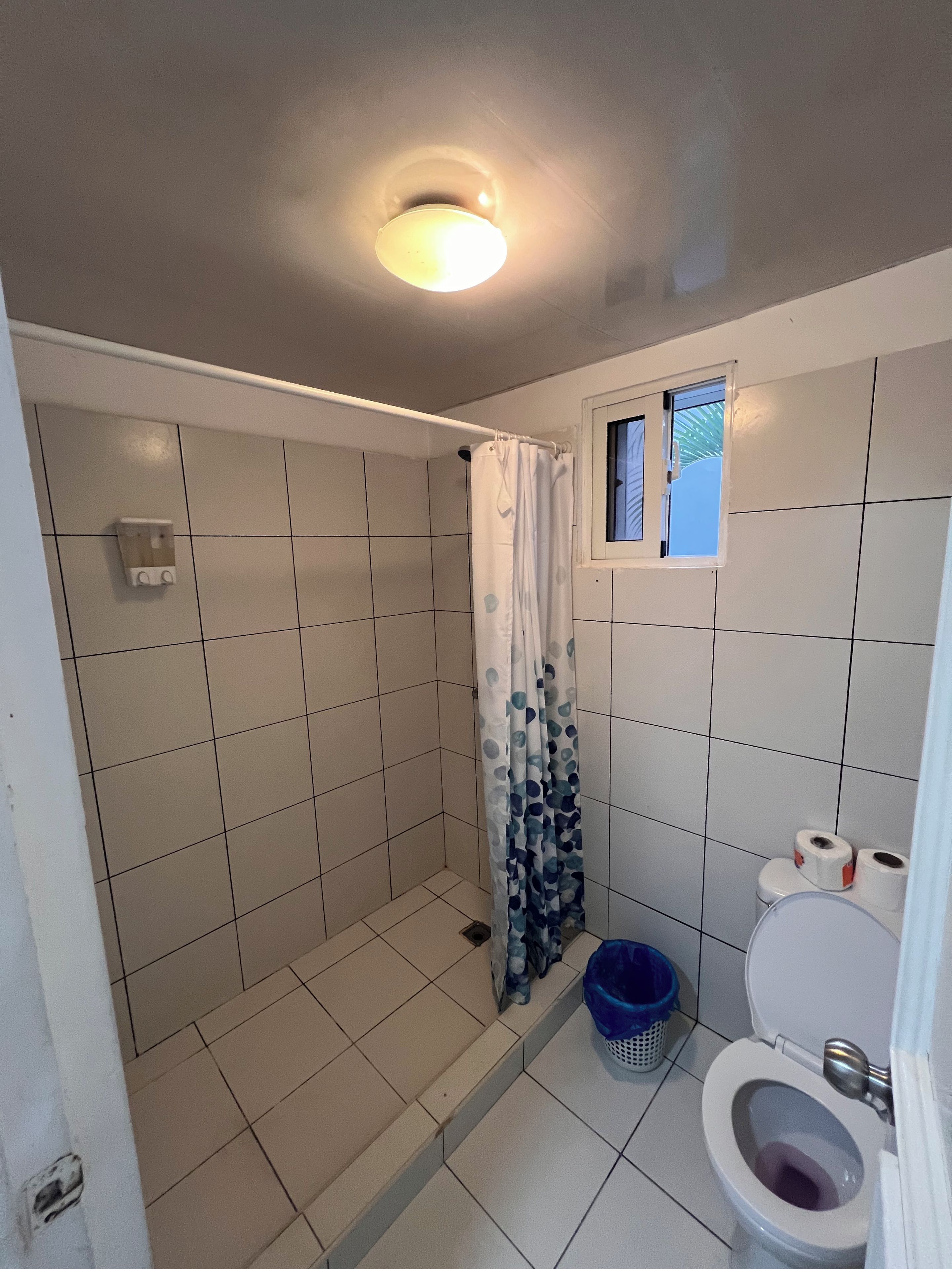 Un baño con ducha, inodoro y ventana.