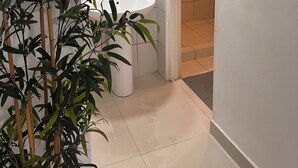 Studio Confort, balcon | Salle de bain | Douche, sèche-cheveux, serviettes fournies, savon
