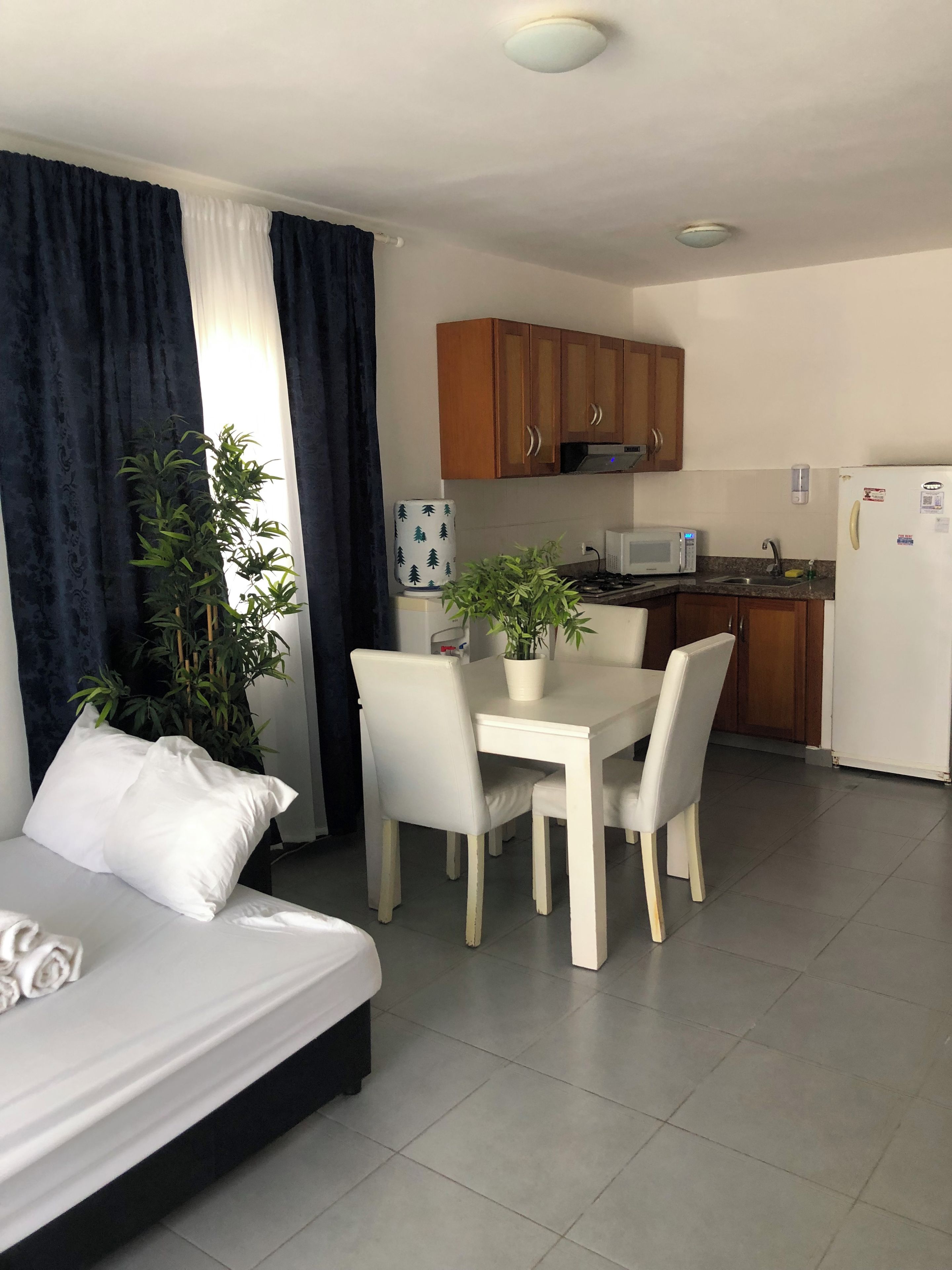 Habitación de hotel con cama, mesa de comedor, sillas, planta en maceta, microondas y refrigerador.