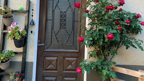 Una puerta con reja metálica, cerca de madera y plantas en macetas.