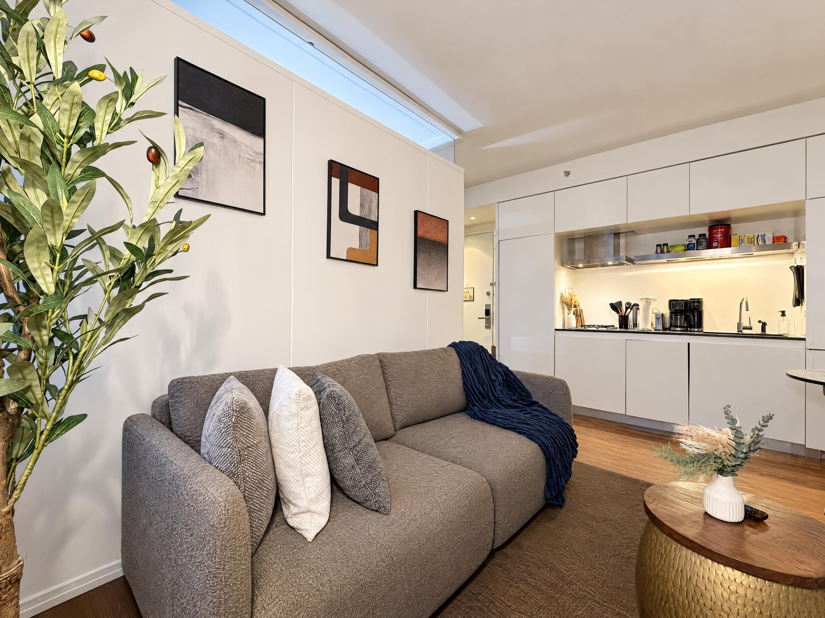 A modern living room with a grey sofa, a coffee table, and a large plant.