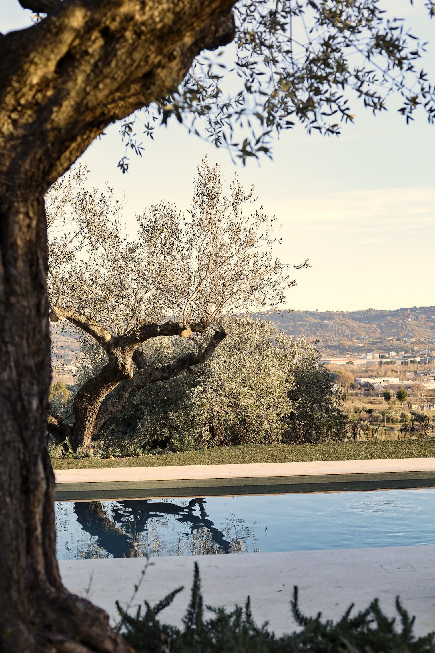 A tree-lined view with a body of water reflecting the surroundings.