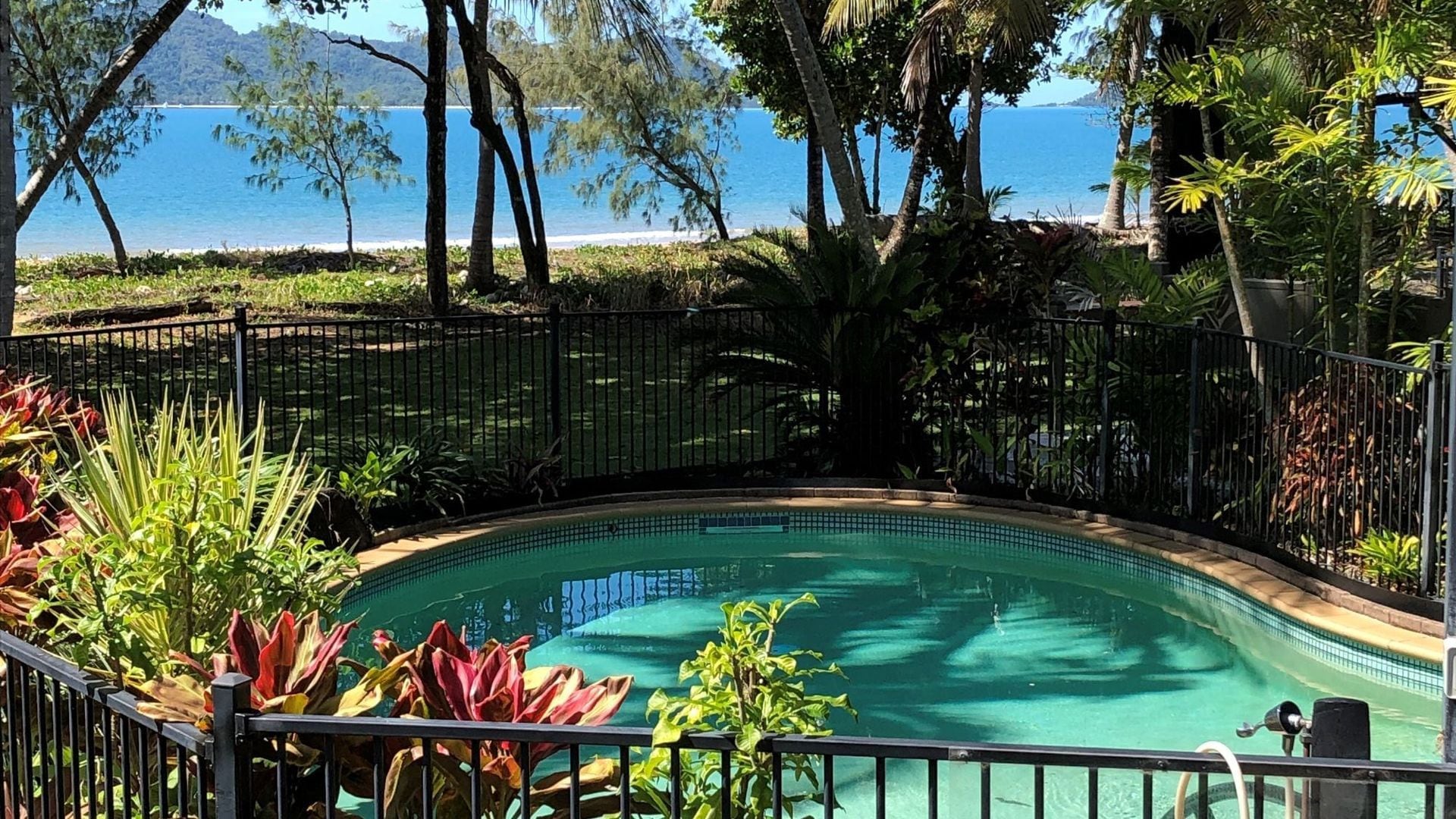 A swimming pool with a view of the sea, surrounded by tropical plants and a metal fence.
