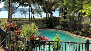 En swimmingpool omgivet af tropiske planter med udsigt til et vandareal.