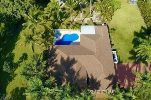 En tagterrasse med swimmingpool, omgivet af palmer og en velplejet græsplæne.