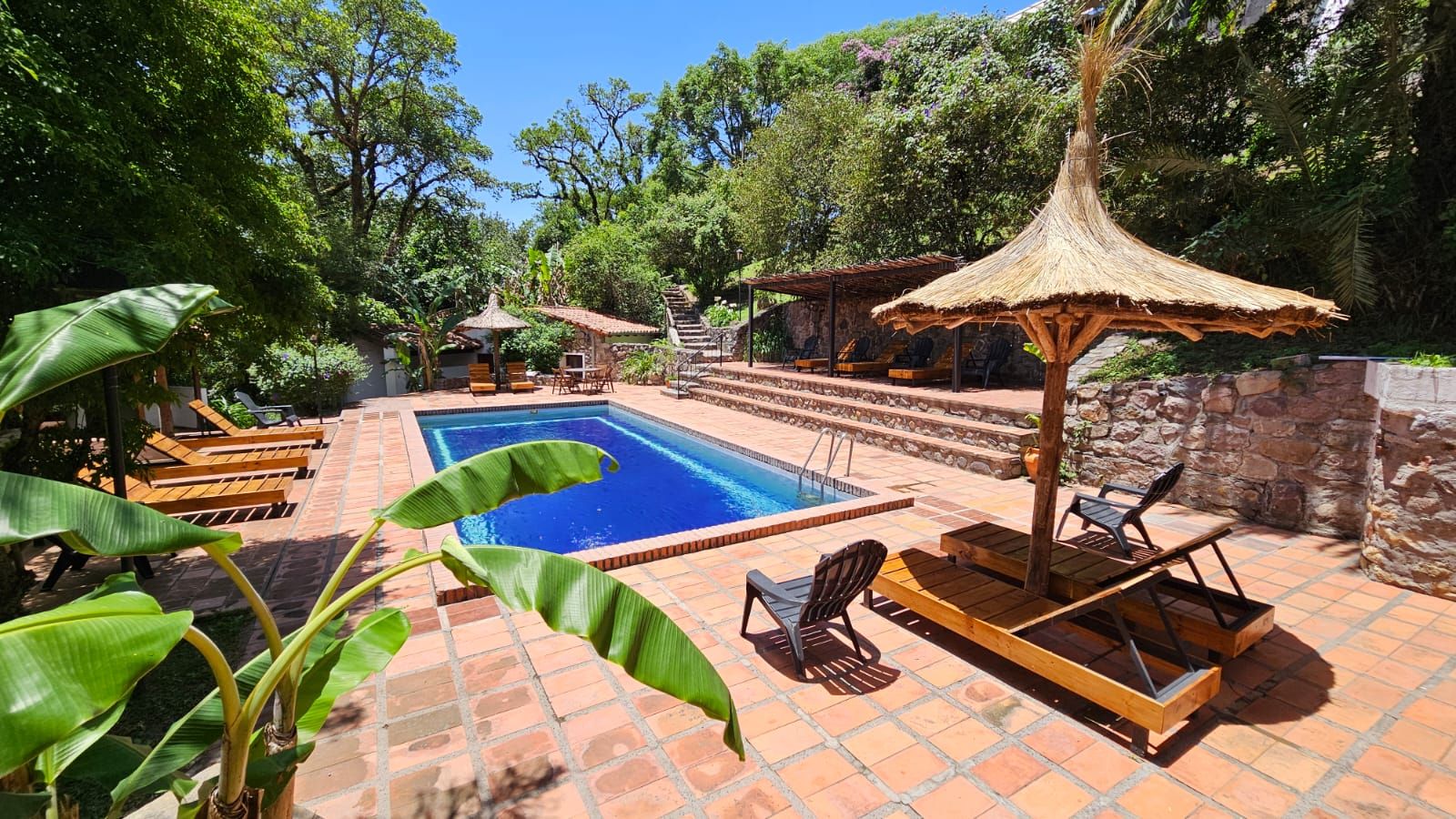 Outdoor pool, sun loungers