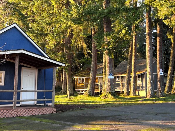A small cabin with a white door, surrounded by tall trees and a paved area.