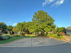 A residential driveway with a large tree in the center, surrounded by well-maintained lawns and houses.