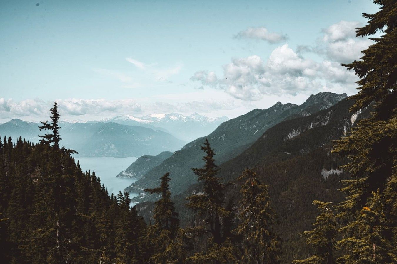 A mountainous landscape with dense forest and a lake.