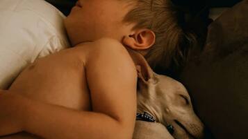 A child sleeping on a couch with a dog.