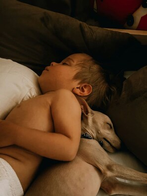 A child sleeping on a couch with a dog.