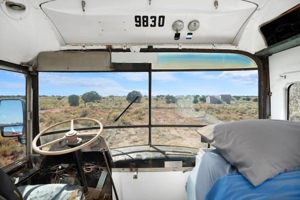 A bus interior with a steering wheel, dashboard, and a bed with pillows. - Bennie Bus (Williams)