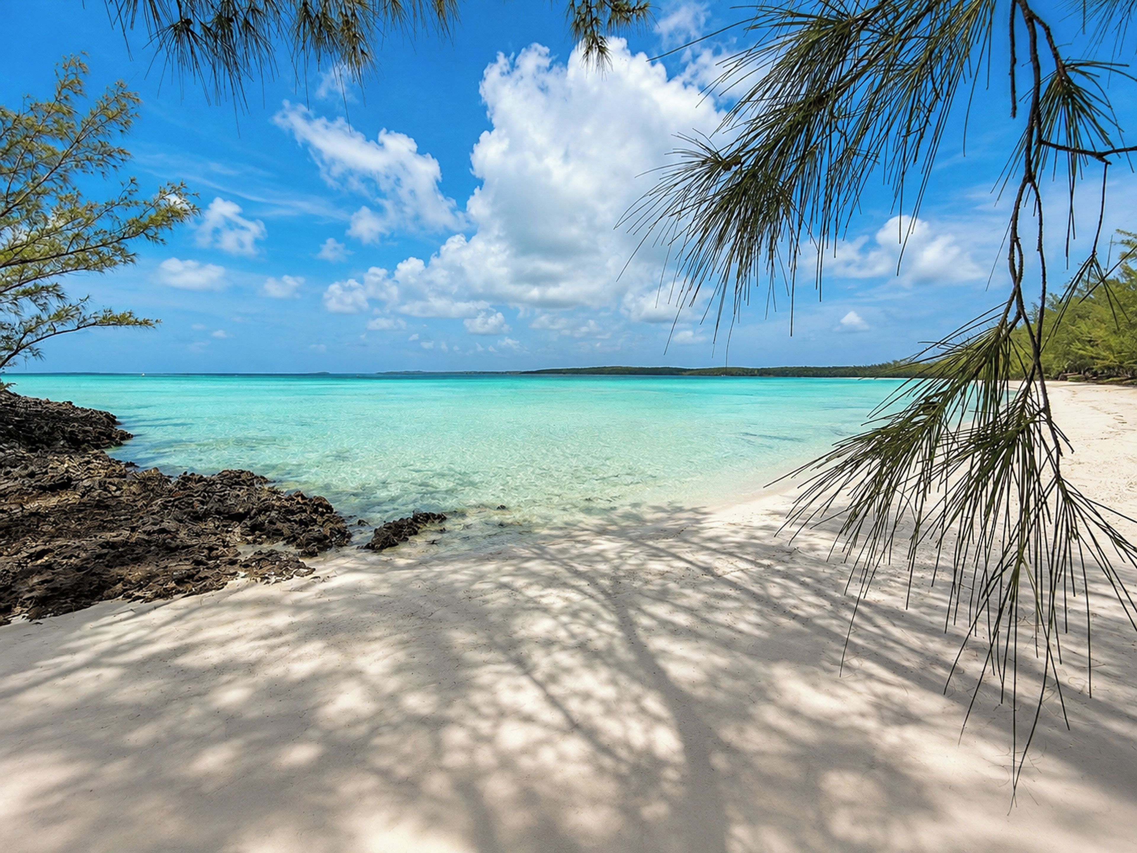 A beach with clear turquoise water, white sand, and palm trees.