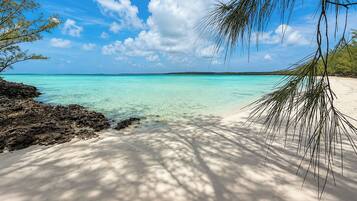A beach with clear turquoise water, white sand, and palm trees.