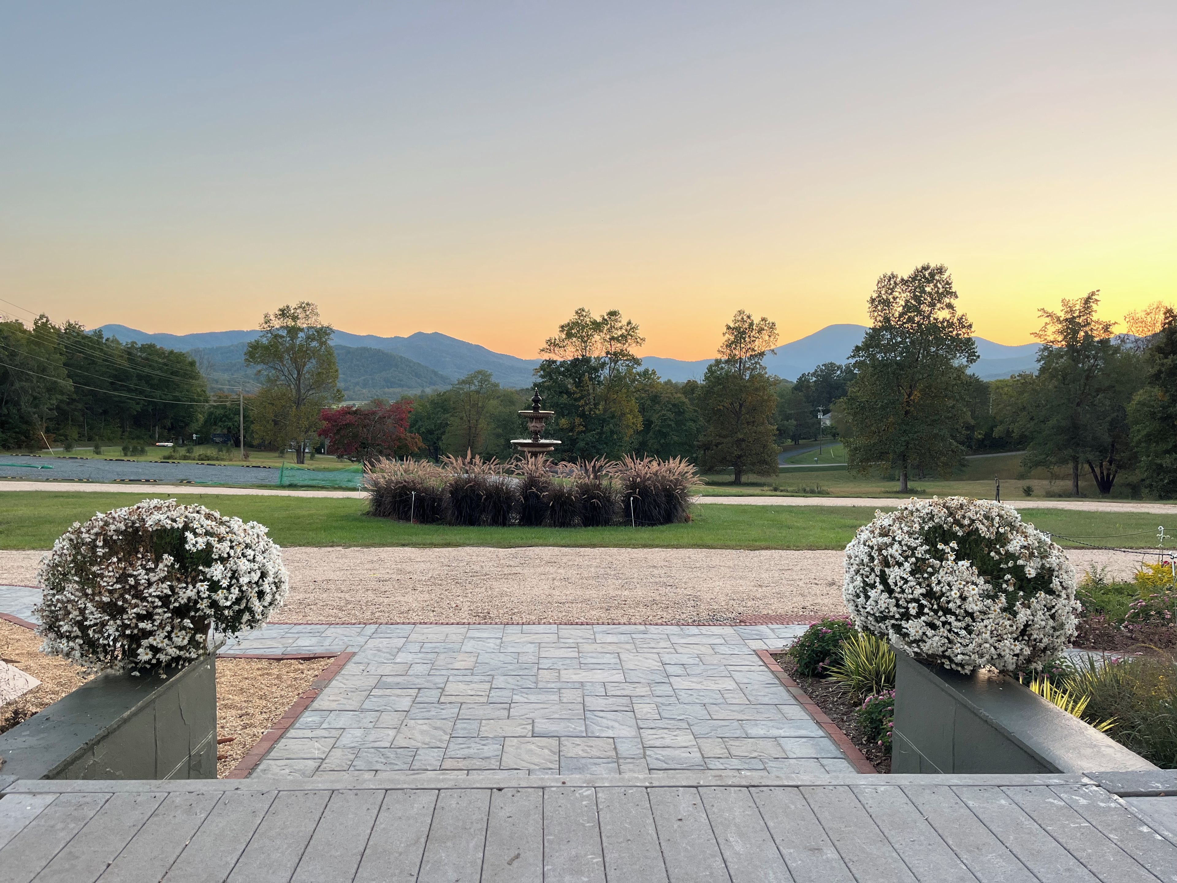 A paved pathway leading to a garden with a water feature and white flowering bushes.