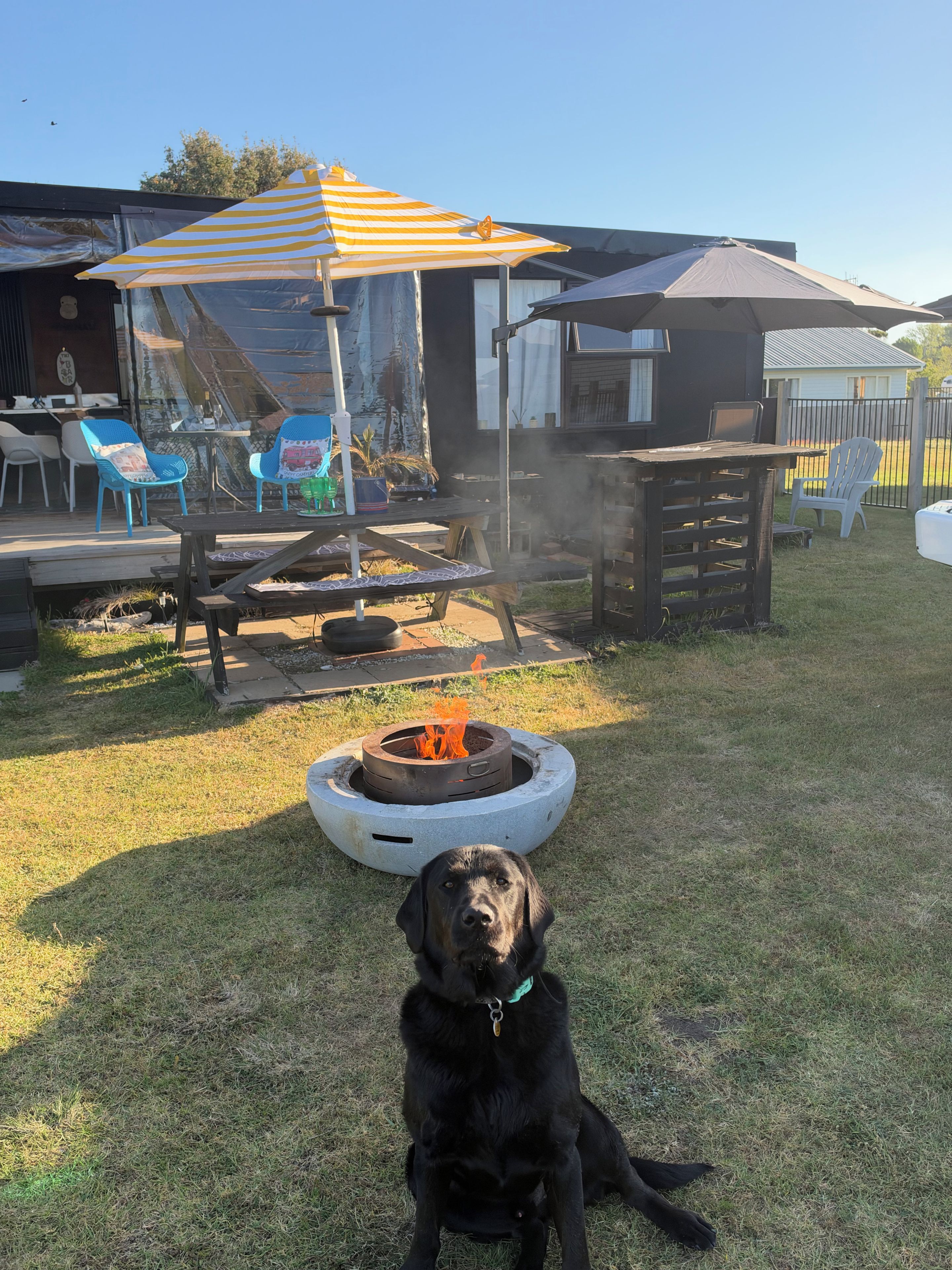A backyard with a fire pit, outdoor furniture, and a dog.