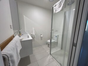 A bathroom with a glass shower enclosure, a white sink, and a toilet. - Spacious modern house in coastal bushy location 2 minutes to beach and town (Bicheno)
