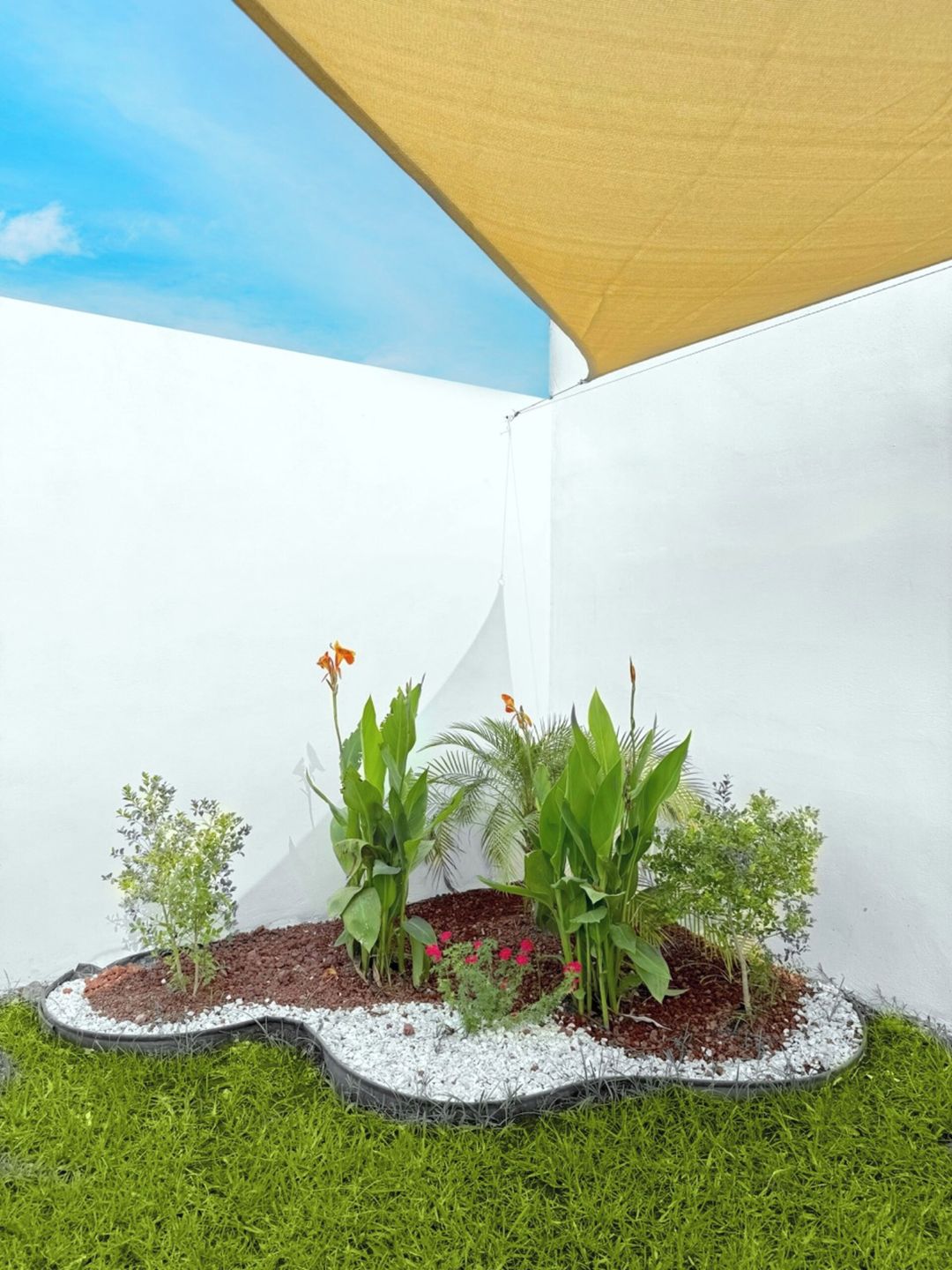 A small garden area with plants and a white wall.