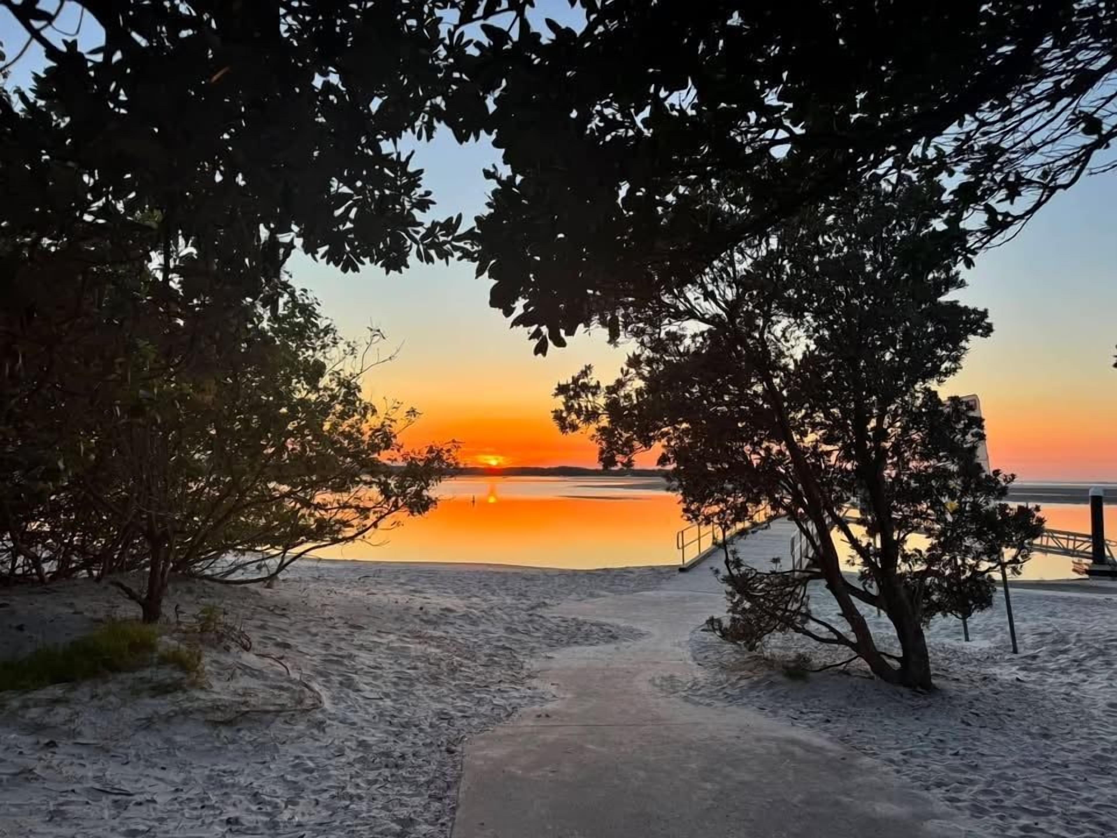 Une scène de plage avec un coucher de soleil, des arbres et une étendue d’eau calme.