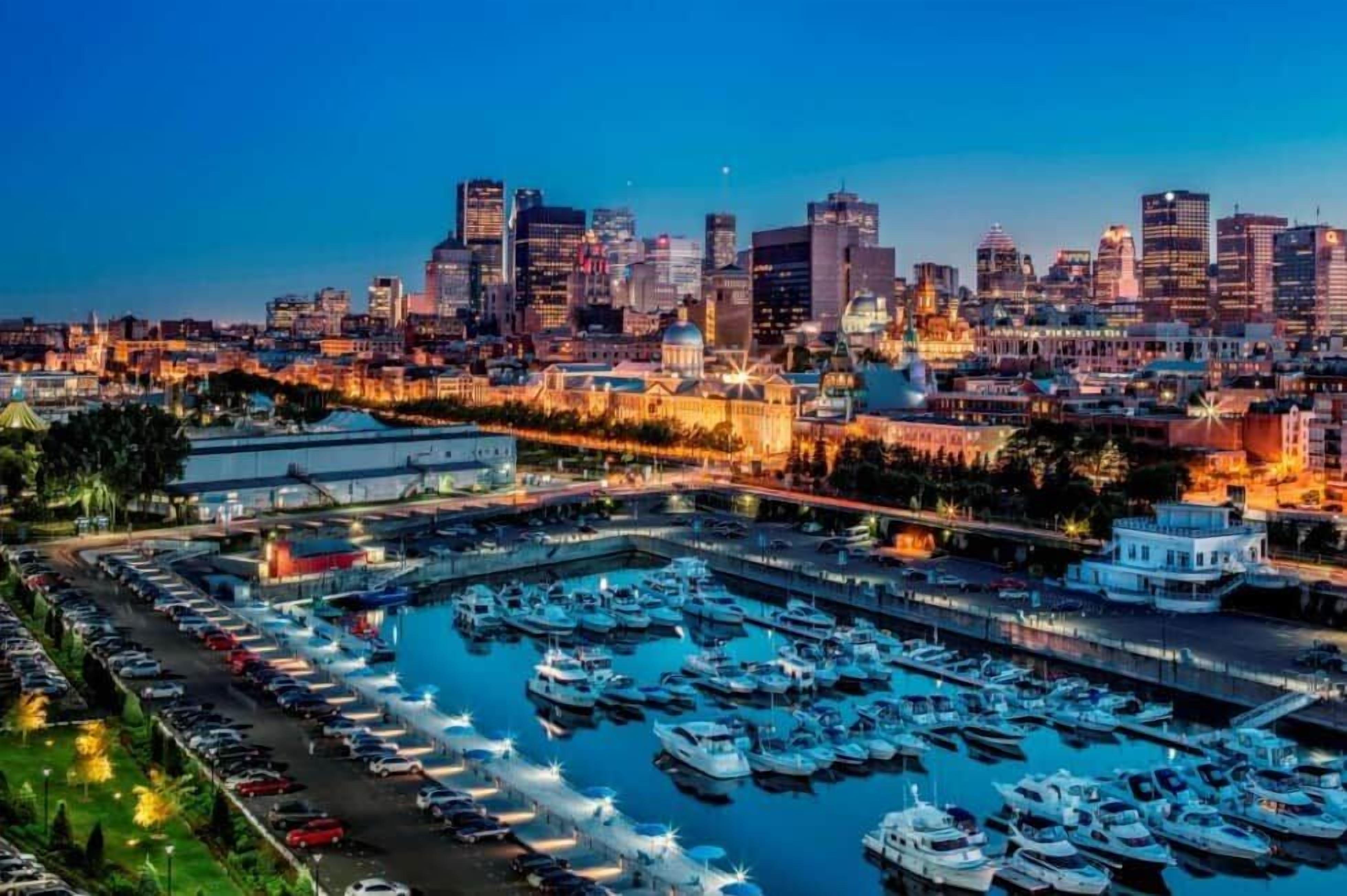 A marina with boats docked, a city skyline in the background, and a large building with a dome.