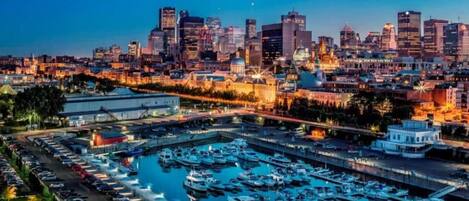 A marina with boats docked, a city skyline in the background, and a large building with a dome.