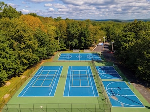 Un terrain de basket en plein air, entouré d’une forêt dense.