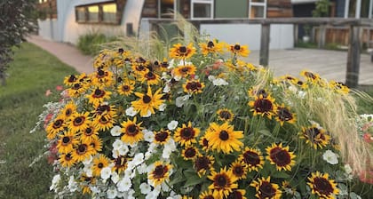 The Grainery | A Unique Piece of Rosebud History