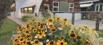 The Grainery | A Unique Piece of Rosebud History