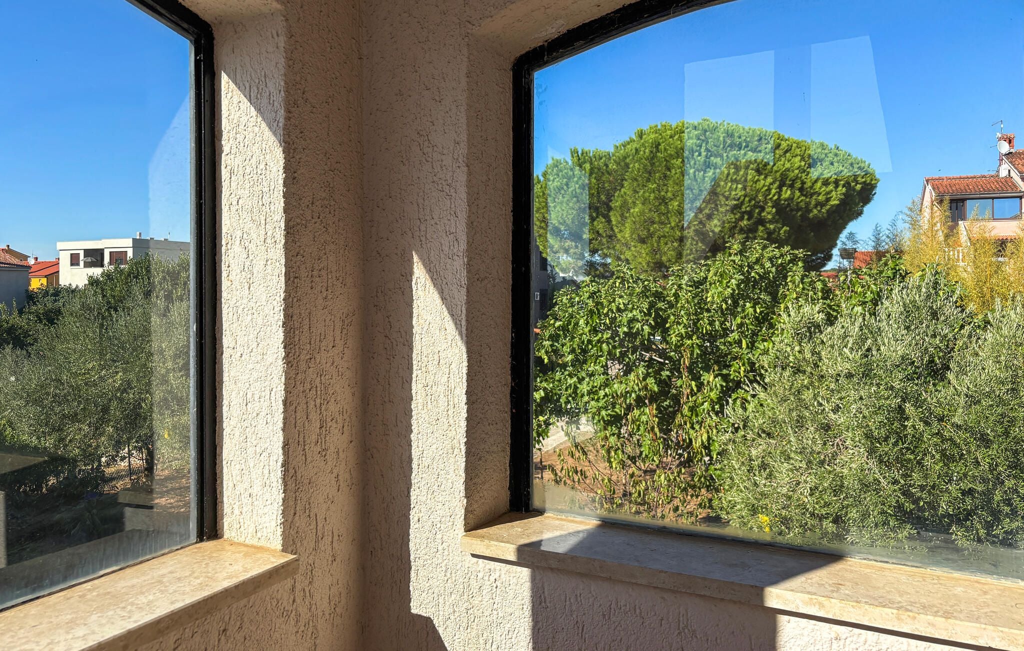A window with a view of a tree and a building in the background.