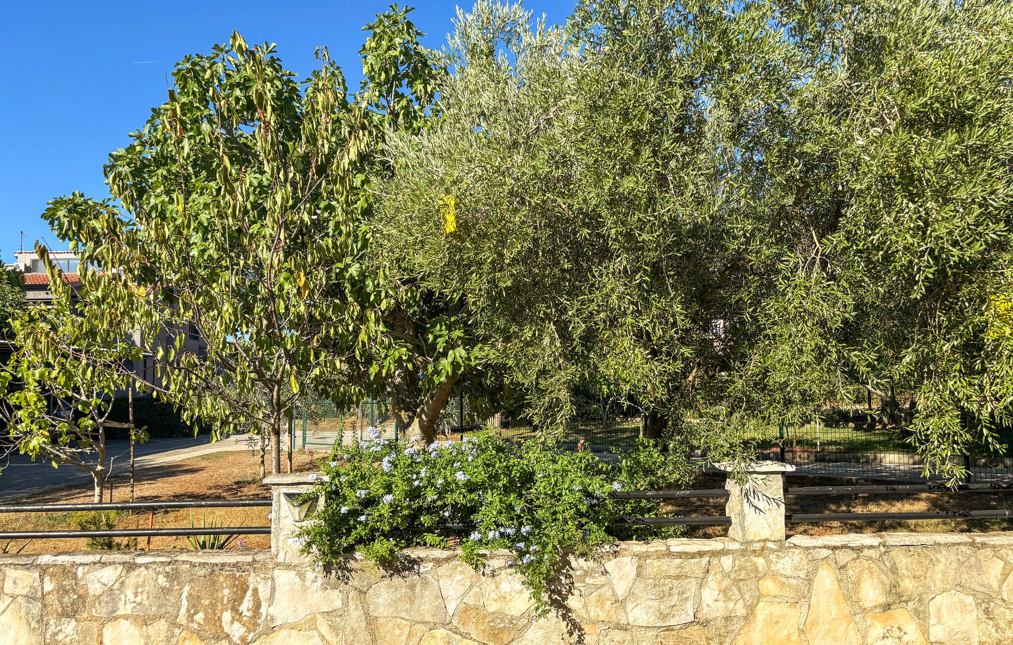A stone wall with a small garden area, including a flowering plant and a tree with green leaves.