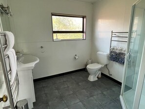 Un baño con inodoro, lavamanos y ducha.