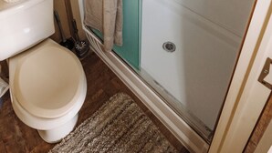 A bathroom with a toilet, a shower enclosure, and a small potted plant. - 302 Lodging (Kermit)