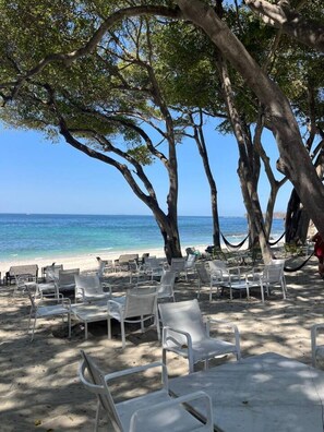 A beach with white plastic chairs arranged under trees, overlooking the ocean. - Luxury Bolongo Beachfront Apartment in Punta Mita (Corral del Risco)