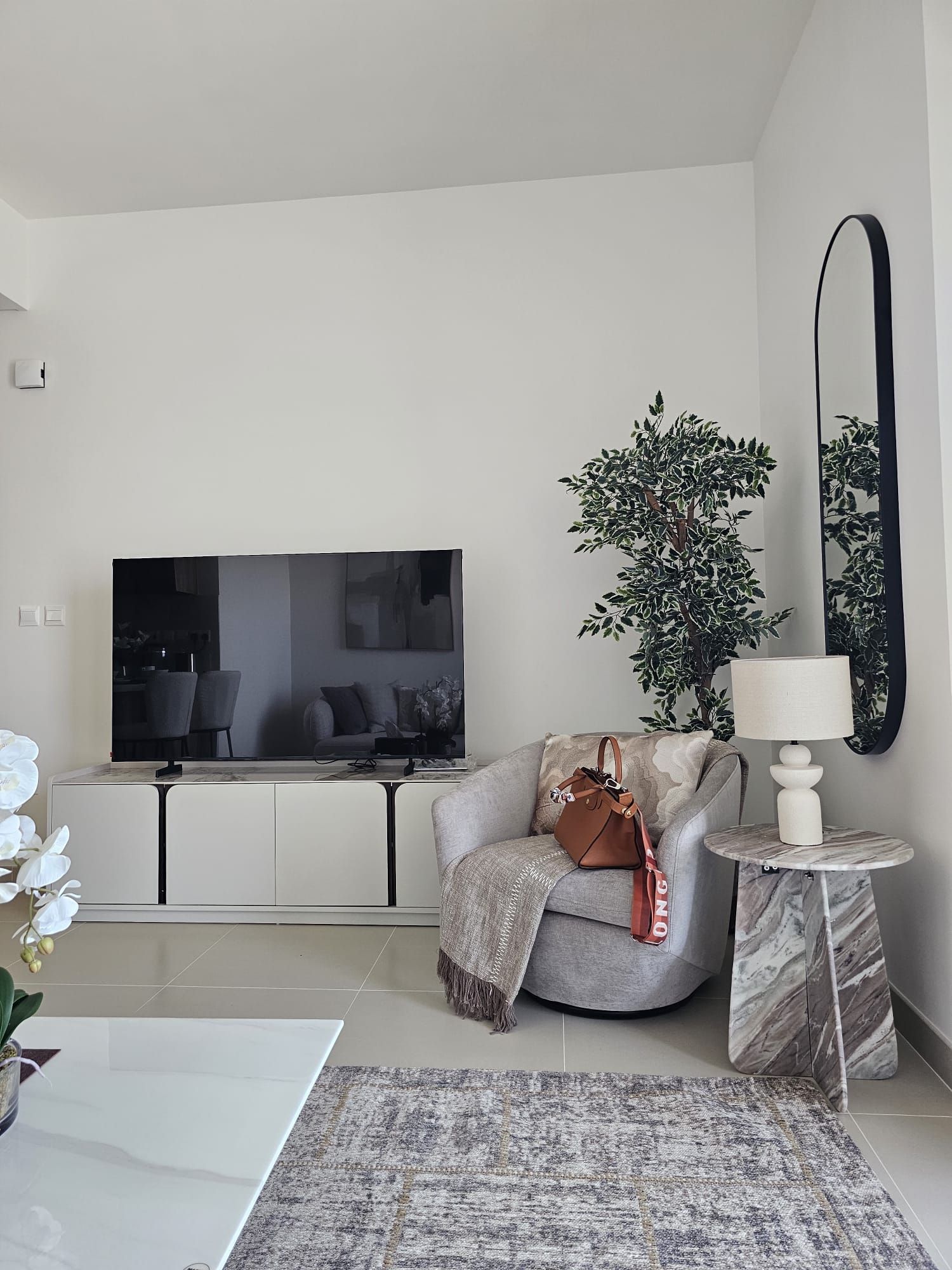 A modern living room with a flat-screen TV, a sofa, a coffee table, a side table with a lamp, a potted plant, and a large mirror.