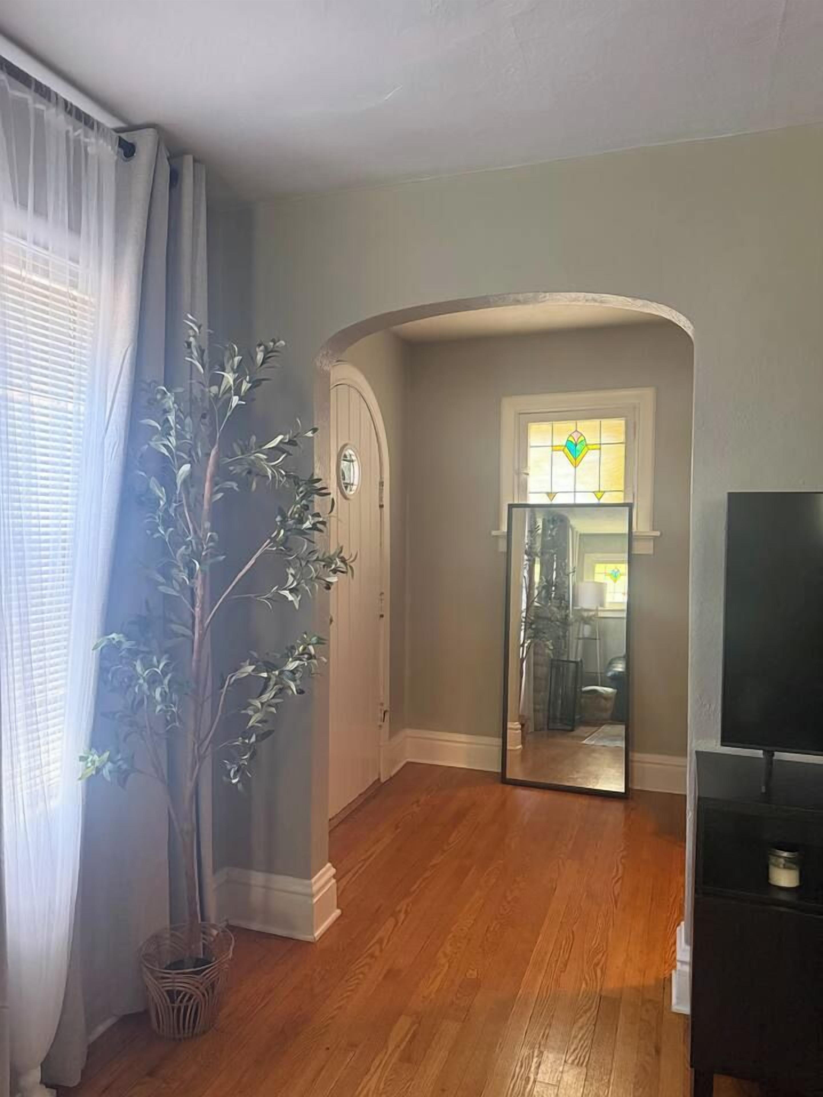 Une pièce avec un plancher en bois, une plante en pot, un miroir et un téléviseur.