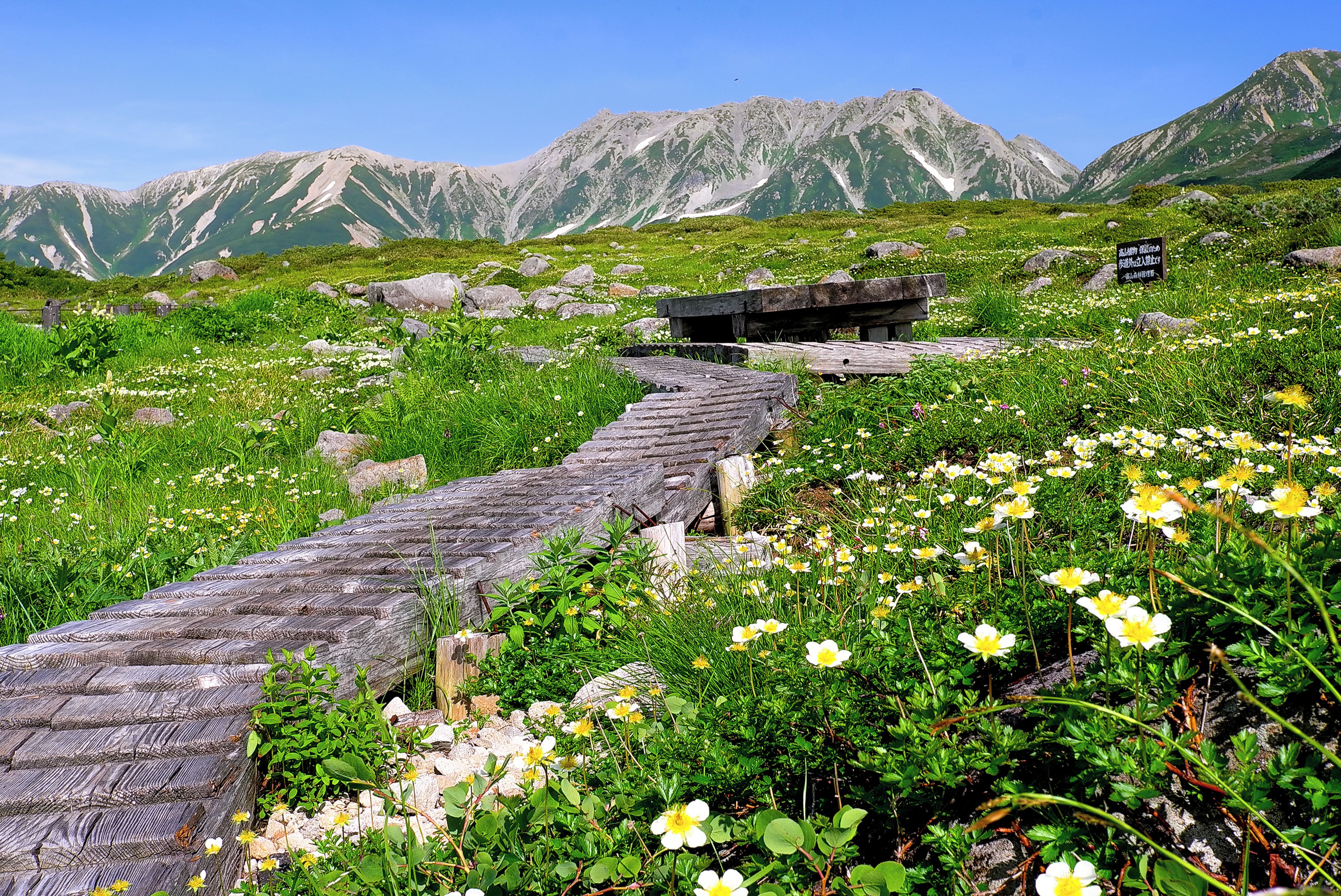A wooden pathway leading through a mountainous area with wildflowers and a signpost.