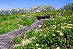 A wooden pathway leading through a mountainous area with wildflowers and a signpost.