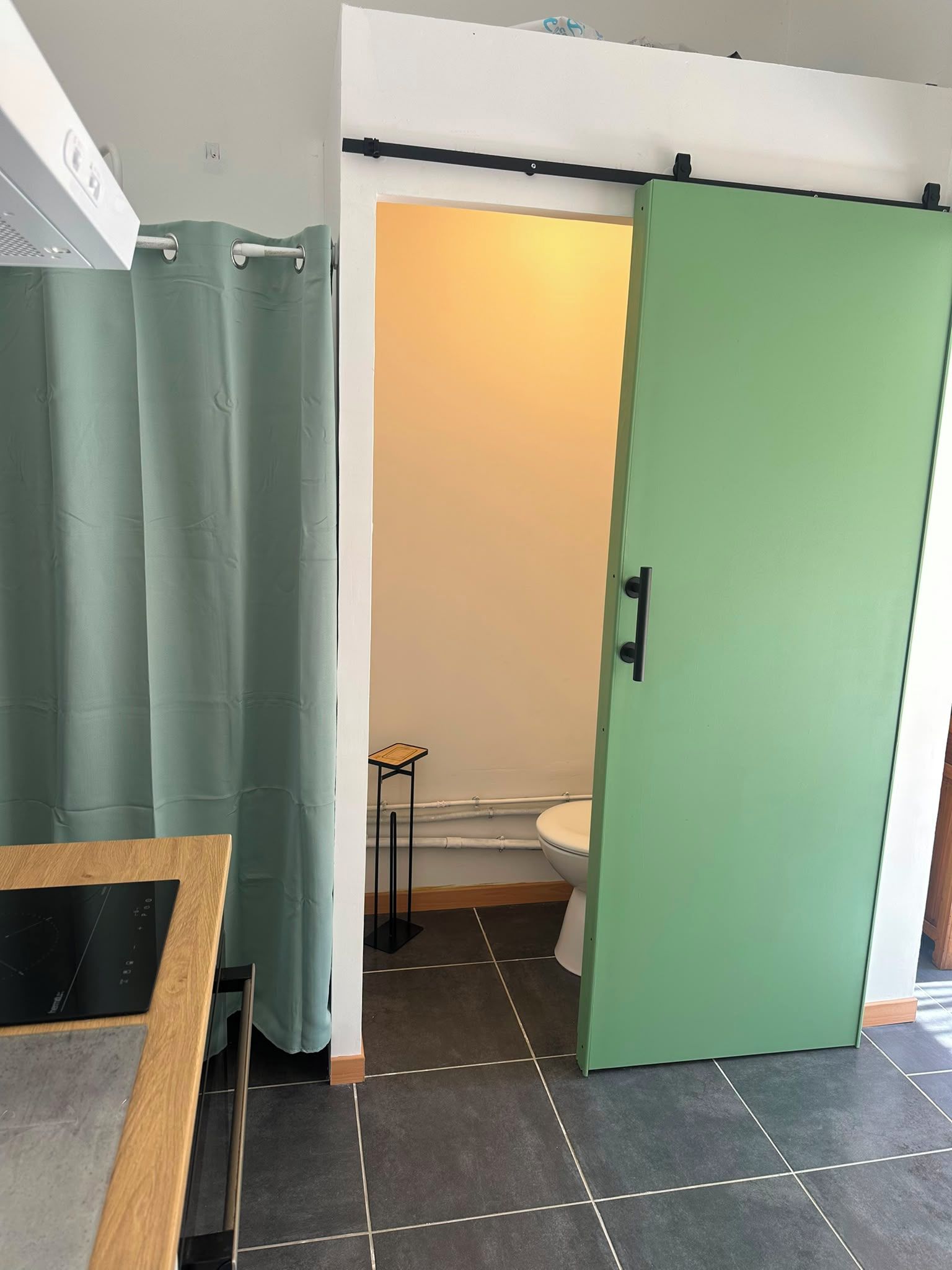 A bathroom with a green door, a toilet, and a shower curtain.