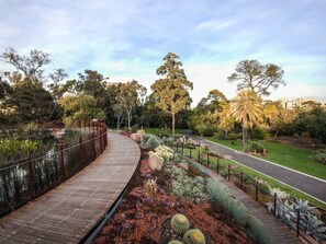 A wooden boardwalk curving through a landscaped garden with various plants and trees. - Bright 1-bed Apartment Near Royal Botanic Gardens (Melbourne)