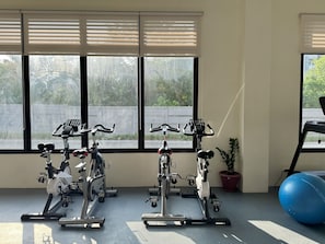 A room with four stationary bikes, a blue exercise ball, and a potted plant. - Royal Oceancrest Panglao 1 (Dauis)