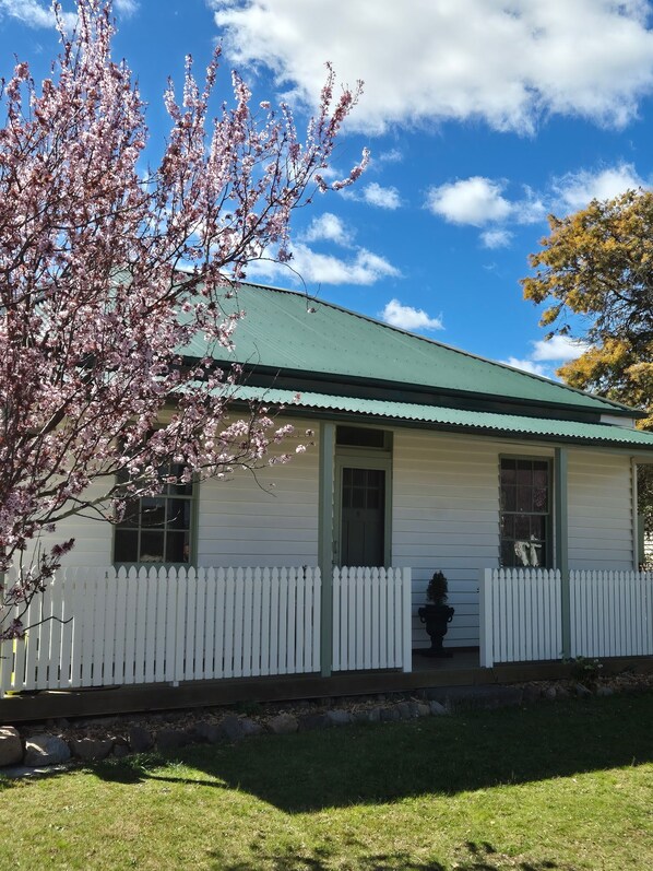 A single-story house with a green roof, white picket fence, and a cherry blossom tree in the foreground.